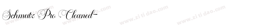 Schmutz Pro Cleaned字体转换
